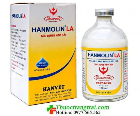 HANMOLIN LA 100ML