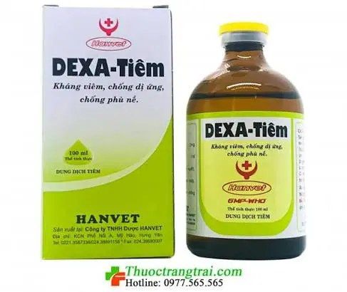 DEXA TIME 100ML