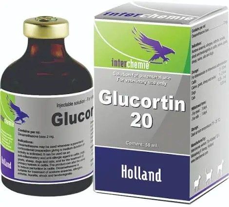 GLUCORTIN 20 50ML