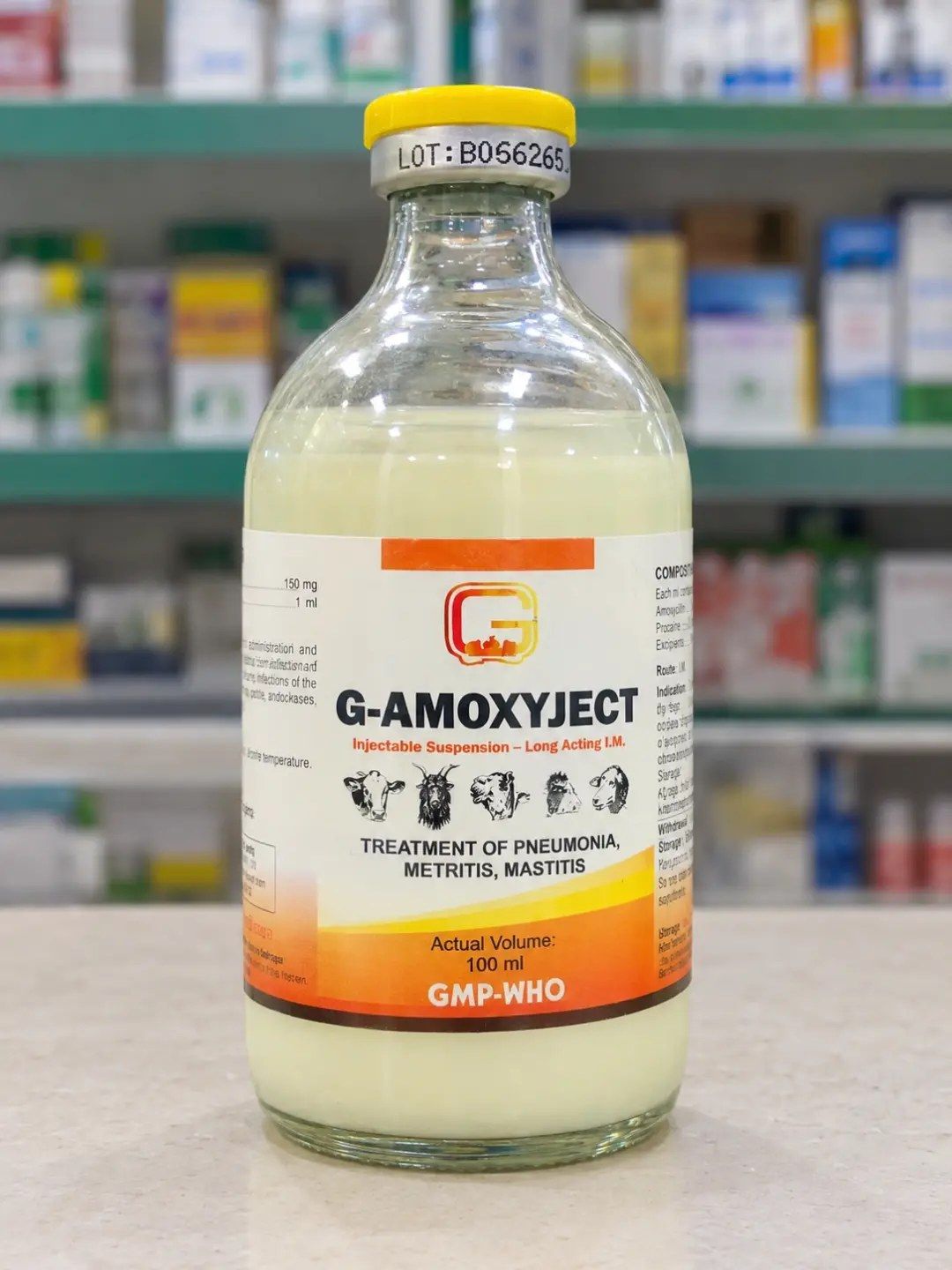 G-AMOXYJECT 100ML